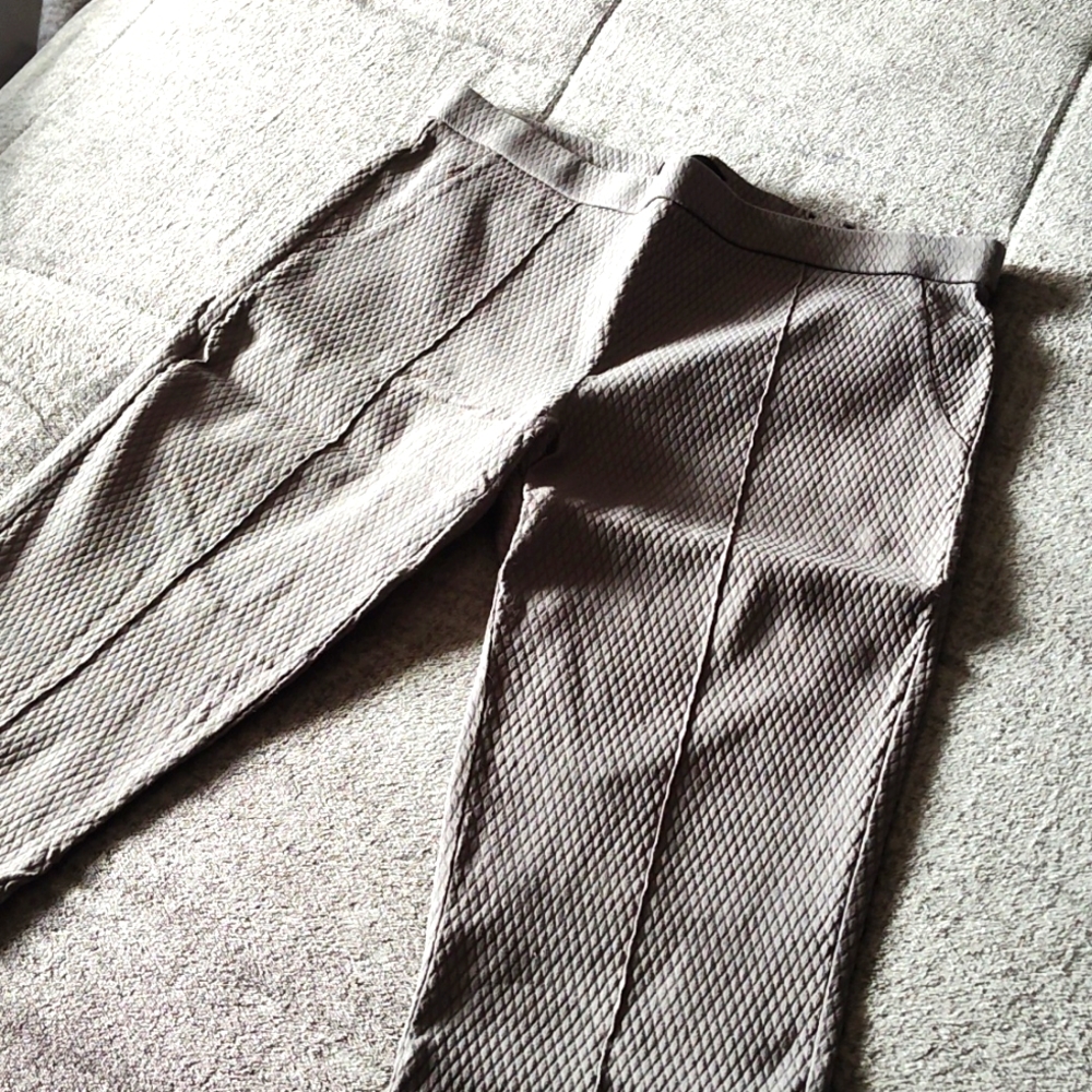 Dalia ankle length pants size 10